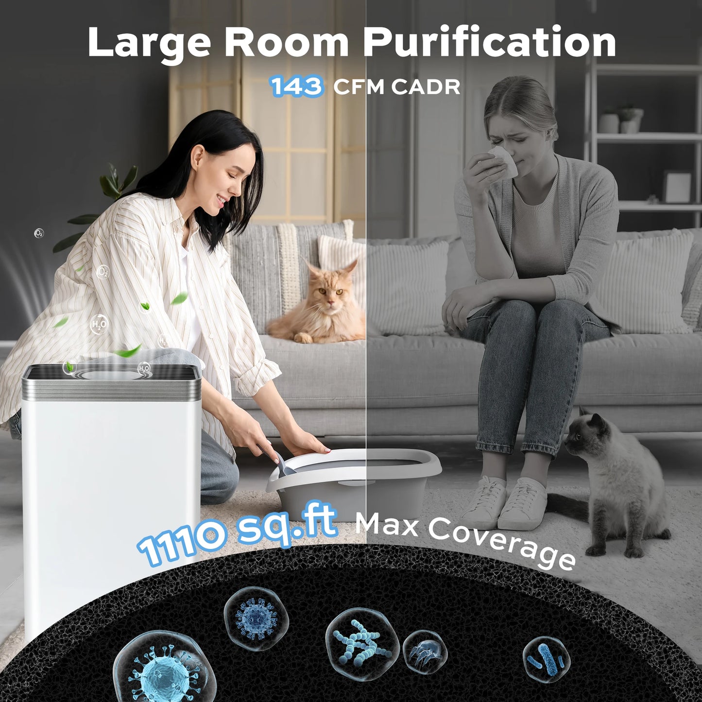Deli Air Purifier With HEPA Filter For Pet Dander Dust